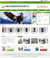 专业企业网站建设方案 龙讯助力网站规划设计